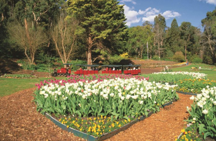 Araluen Botanic Park, Australia